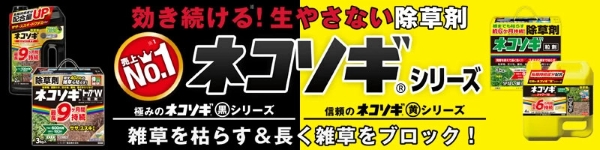 ネコソギ
