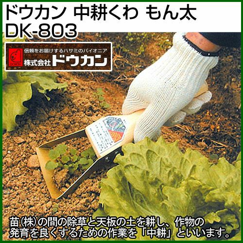 ���� �L �N�� ���� �� �_�� ���� �����