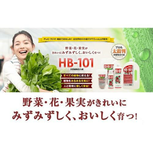 HB101 天然植物活力液 100ml x ５本セット 天然植物活力液 HB-101 100cc | 買援隊(かいえんたい)