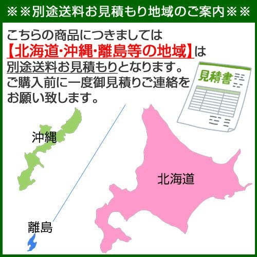 国光社 ひかり号 製粉、粉砕機 A2-V モートルなし | 買援隊(かいえんたい)