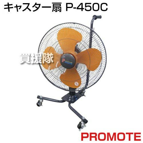 ���֤���������P-450C