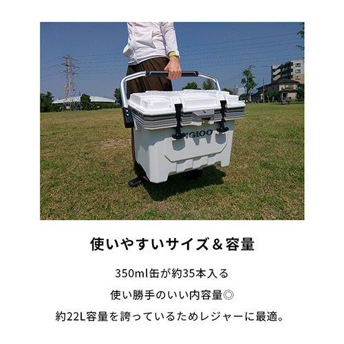 igloo(イグルー) クーラーボックス IMX 24 (約22L) 00049829 [カラー