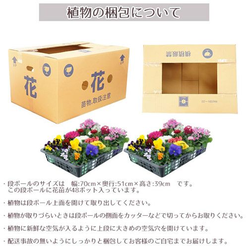 季節の花苗 おまかせ 96ポット 1187 hananae-35 | 買援隊(かいえんたい)