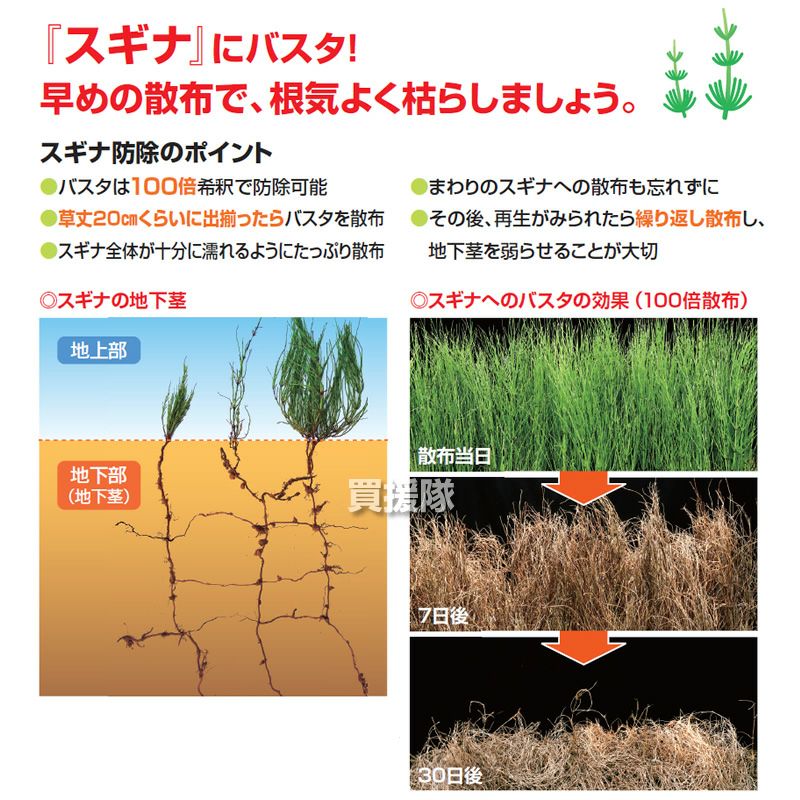 法人限定》BASF 除草剤 バスタ液剤 5L×3本 + バスタノズル動力用LV35 +
