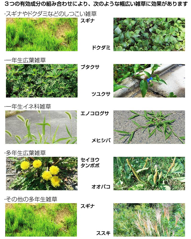 拡散垢③ページ 000000063227-05.jpg?size=m&w=