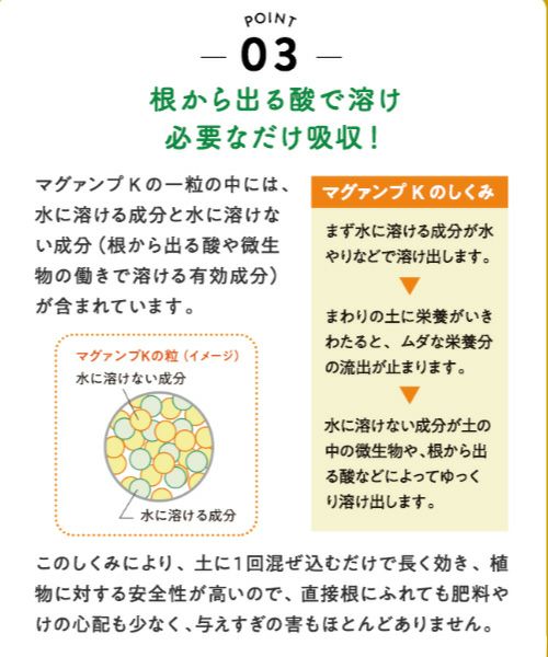 ハイポネックス マグァンプK 中粒 200g | 買援隊(かいえんたい)