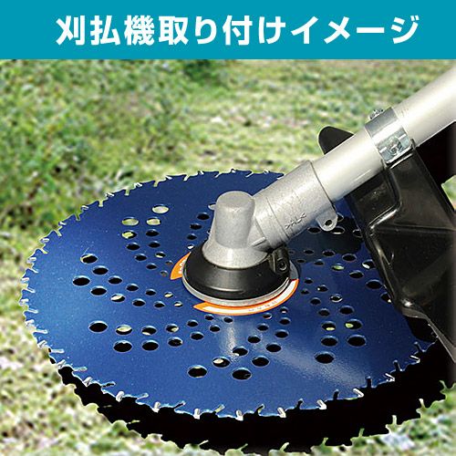 50枚セット】刈払機用 チップソー ブルーシャーク 255×36P 0393 三陽